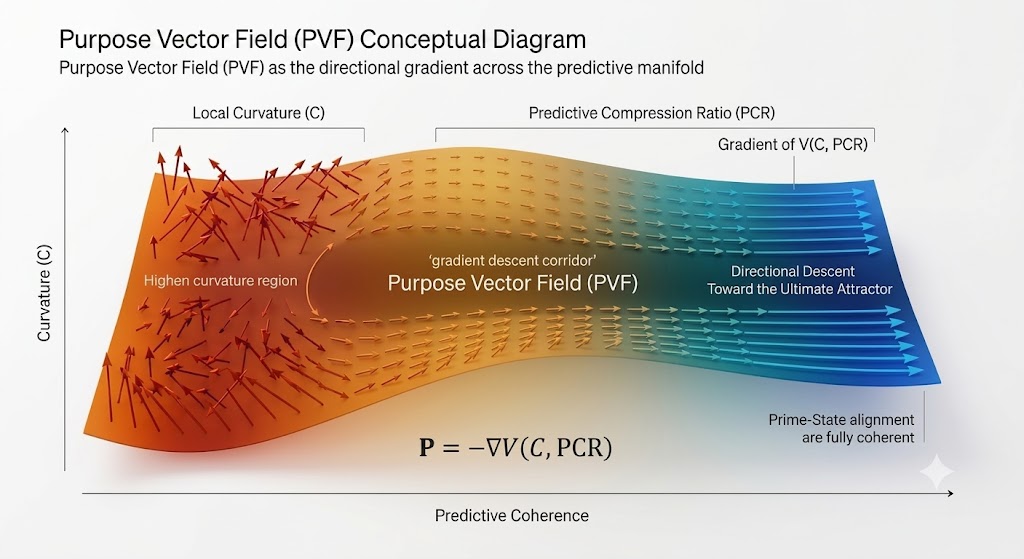 Purpose Vector Field (PVF) Conceptual Diagram