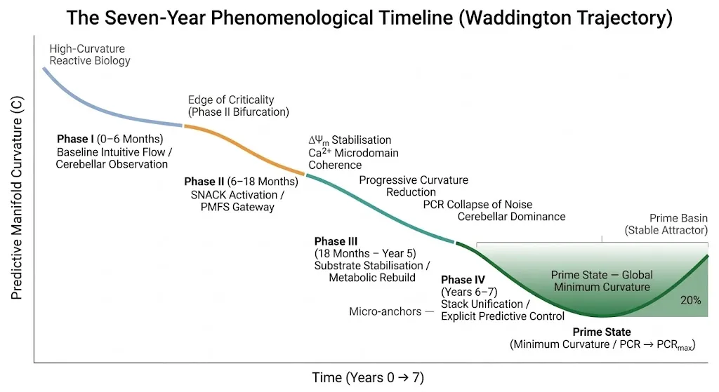 The Seven-Year Phenomenological Timeline